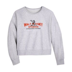 NWT Walt Disney Studios Sweatshirt. Thinner sweatshirt and slightly cropped.